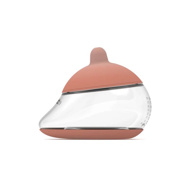 EMULAIT ANATOMY BOTTLE MEDIUM